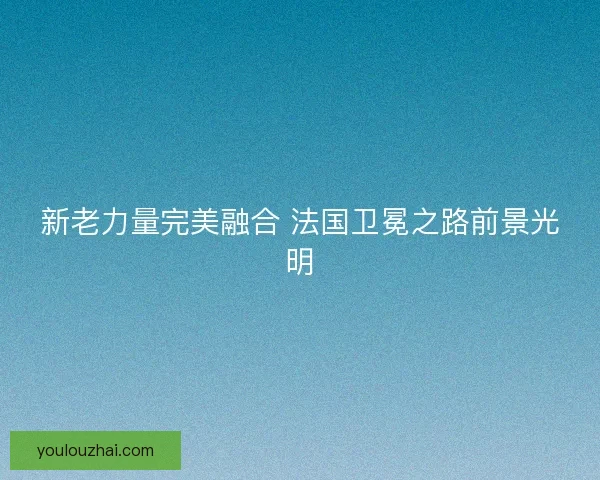 新老力量完美融合 法国卫冕之路前景光明
