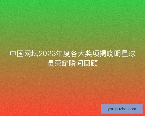 中国网坛2023年度各大奖项揭晓明星球员荣耀瞬间回顾